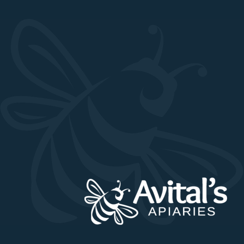 Logo of Avital's Apiaries with a bee design on a dark blue background