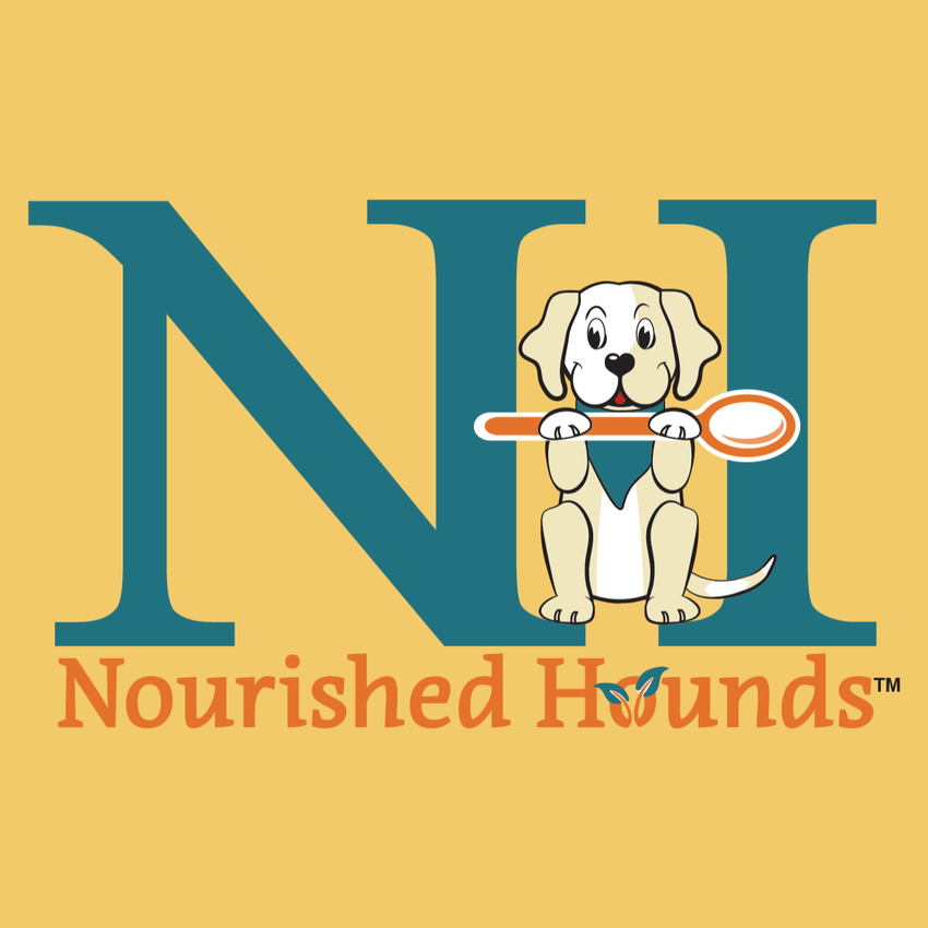 Logo of Nourished Hounds with a cartoon dog holding a bone on a yellow background