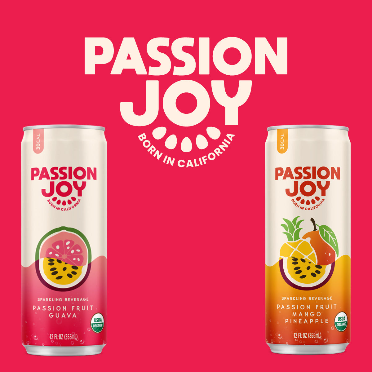 Passino Joy website by HippieChickDesign.com